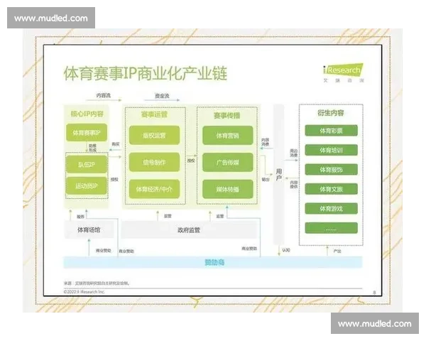 赛事组织全流程管理与高效执行策略研究与实践探索