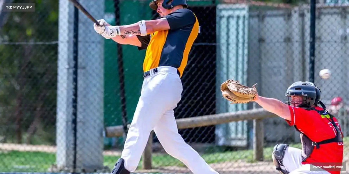 行业领先的理由